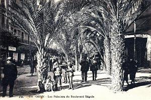 ORAN - BOULEVARD SEGUIN - LES PALMIERS